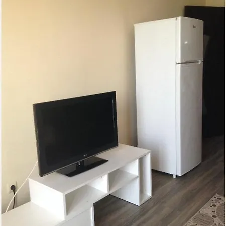 Dimitrov 부르가스